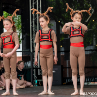 Hit refresh if image not shown