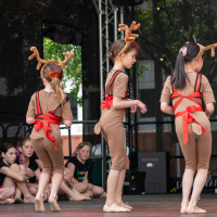 Hit refresh if image not shown