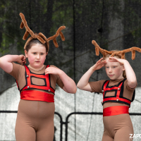 Hit refresh if image not shown