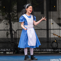 Hit refresh if image not shown