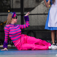 Hit refresh if image not shown