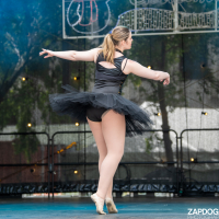 Hit refresh if image not shown