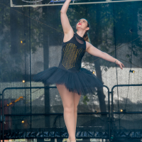 Hit refresh if image not shown