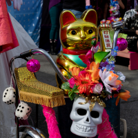 Hit refresh if image not shown