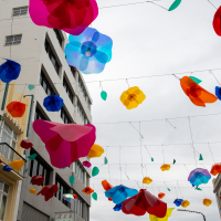 Hit refresh if image not shown