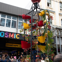 Hit refresh if image not shown