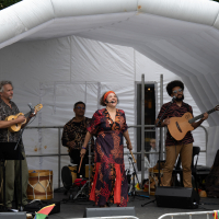 Hit refresh if image not shown