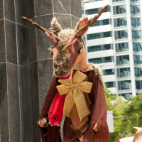 Hit refresh if image not shown