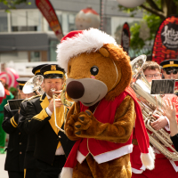 Hit refresh if image not shown