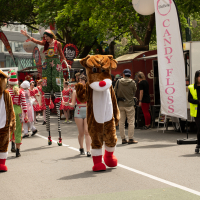 Hit refresh if image not shown