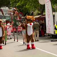 Hit refresh if image not shown