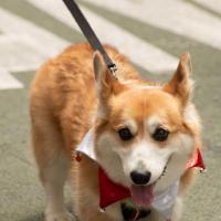 Hit refresh if image not shown