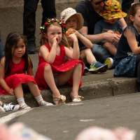 Hit refresh if image not shown