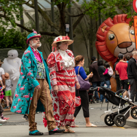 Hit refresh if image not shown