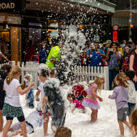 Hit refresh if image not shown