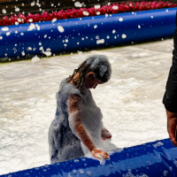 Hit refresh if image not shown