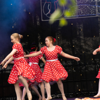 Hit refresh if image not shown