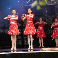 Hit refresh if image not shown