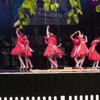 Hit refresh if image not shown