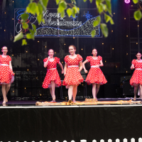 Hit refresh if image not shown