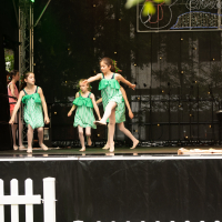 Hit refresh if image not shown