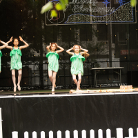 Hit refresh if image not shown