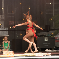 Hit refresh if image not shown