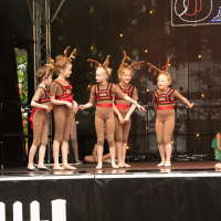 Hit refresh if image not shown