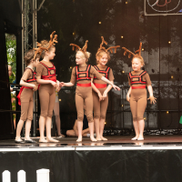 Hit refresh if image not shown