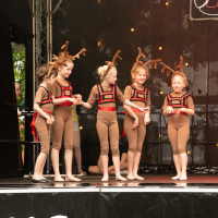 Hit refresh if image not shown