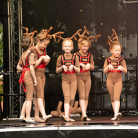 Hit refresh if image not shown