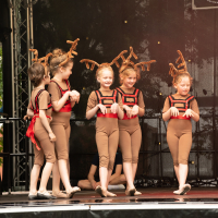 Hit refresh if image not shown