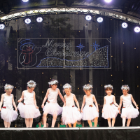 Hit refresh if image not shown