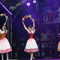 Hit refresh if image not shown