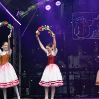 Hit refresh if image not shown