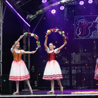 Hit refresh if image not shown