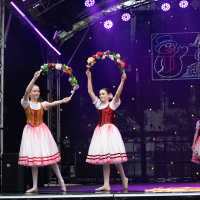 Hit refresh if image not shown