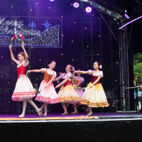 Hit refresh if image not shown