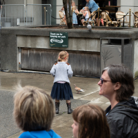 Hit refresh if image not shown