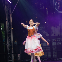 Hit refresh if image not shown