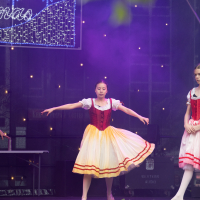 Hit refresh if image not shown