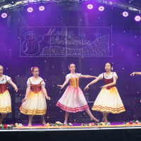 Hit refresh if image not shown