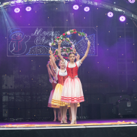 Hit refresh if image not shown