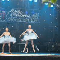 Hit refresh if image not shown