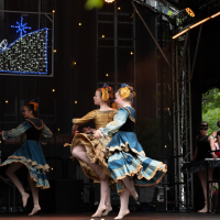 Hit refresh if image not shown