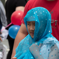 Hit refresh if image not shown