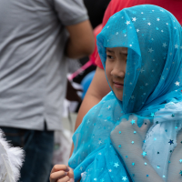 Hit refresh if image not shown