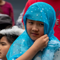 Hit refresh if image not shown