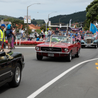 Hit refresh if image not shown