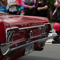 Hit refresh if image not shown